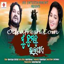 Mu Tumaku Bhala Paye